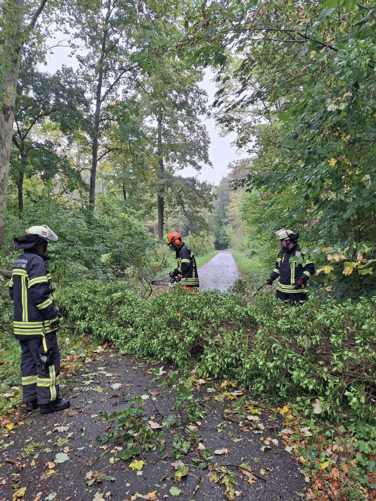 Einsatz 58/2025